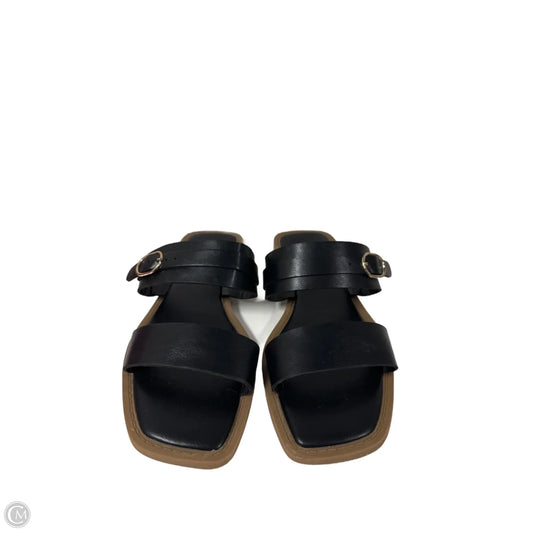 Sandals Flats By Sonoma In Black, Size: 7.5