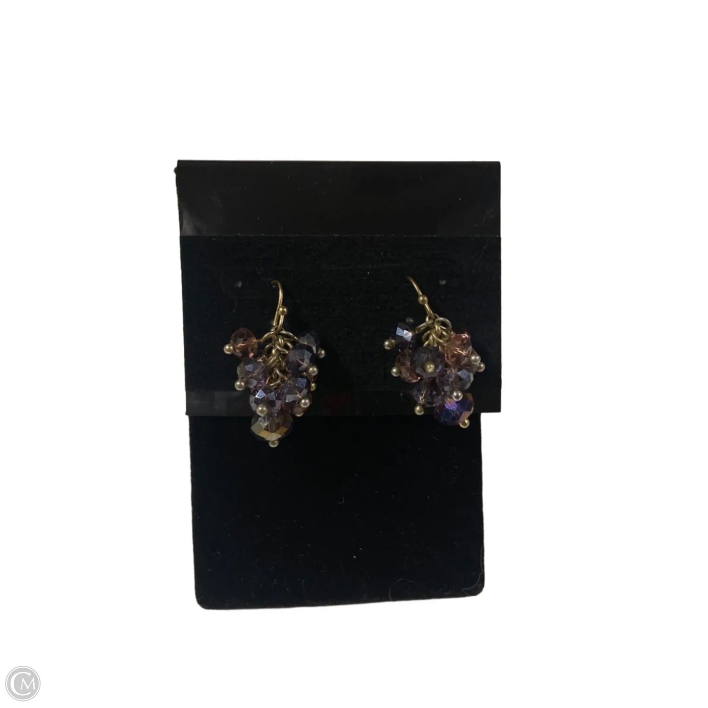 Earrings Dangle/drop By Clothes Mentor, Size: 1