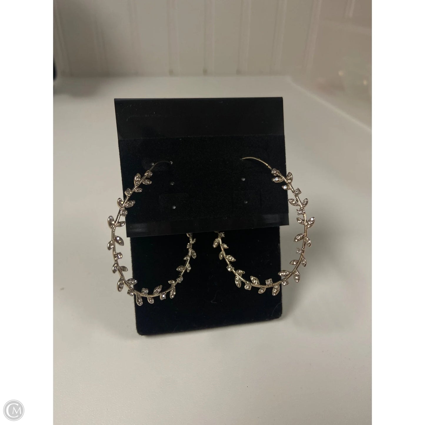 Earrings Hoop By Clothes Mentor, Size: 1