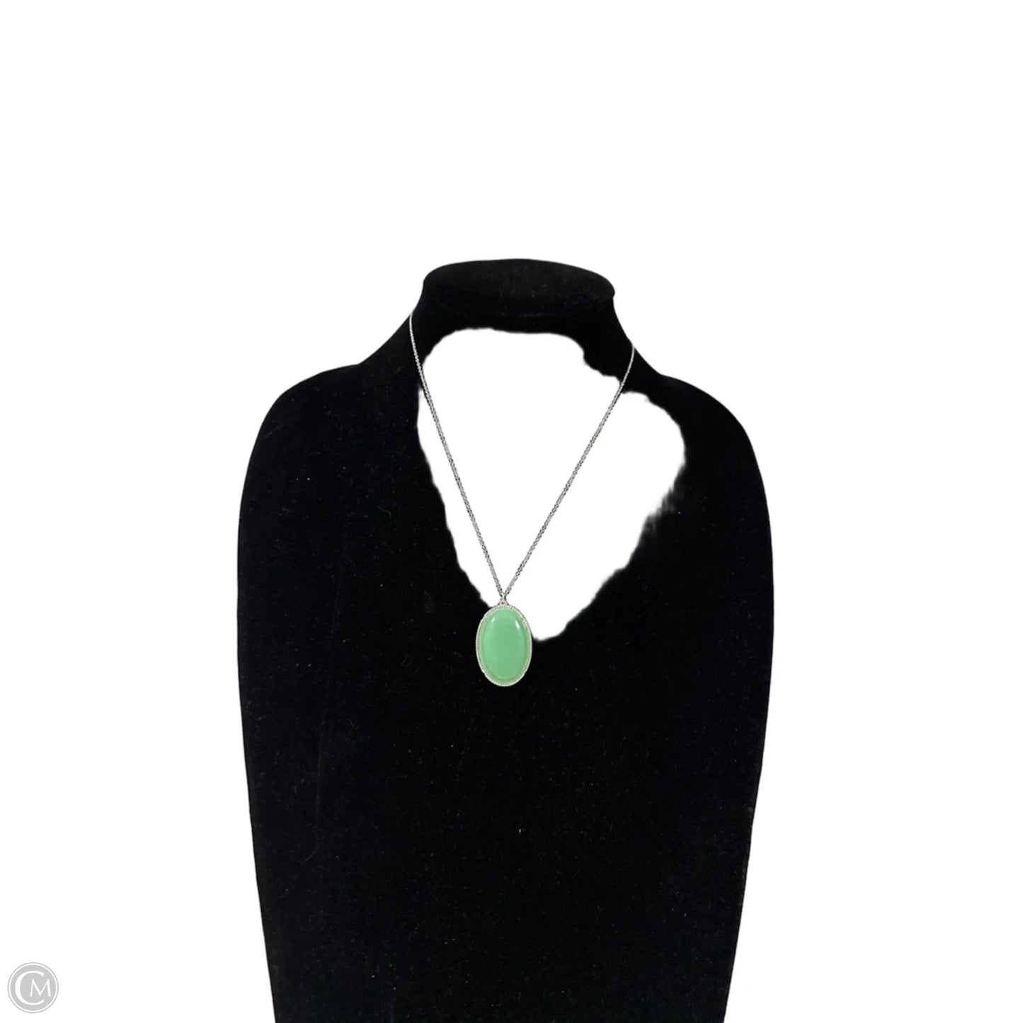 Necklace Pendant By Clothes Mentor, Size: 1