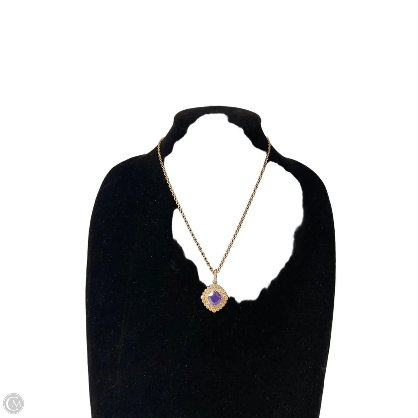 Necklace Pendant By Clothes Mentor, Size: 1