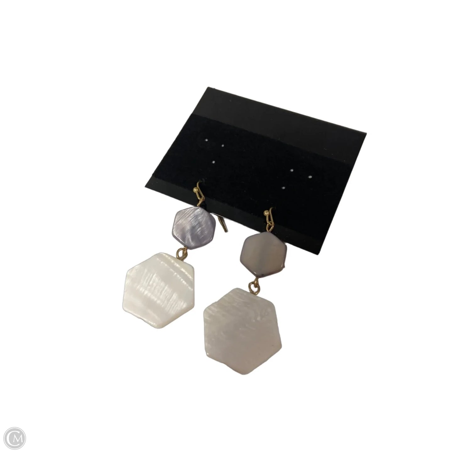 Earrings Dangle/drop By Clothes Mentor, Size: 1