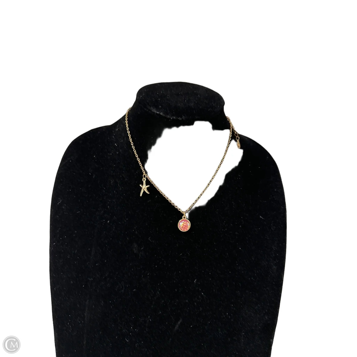 Necklace Charm By Clothes Mentor, Size: 1