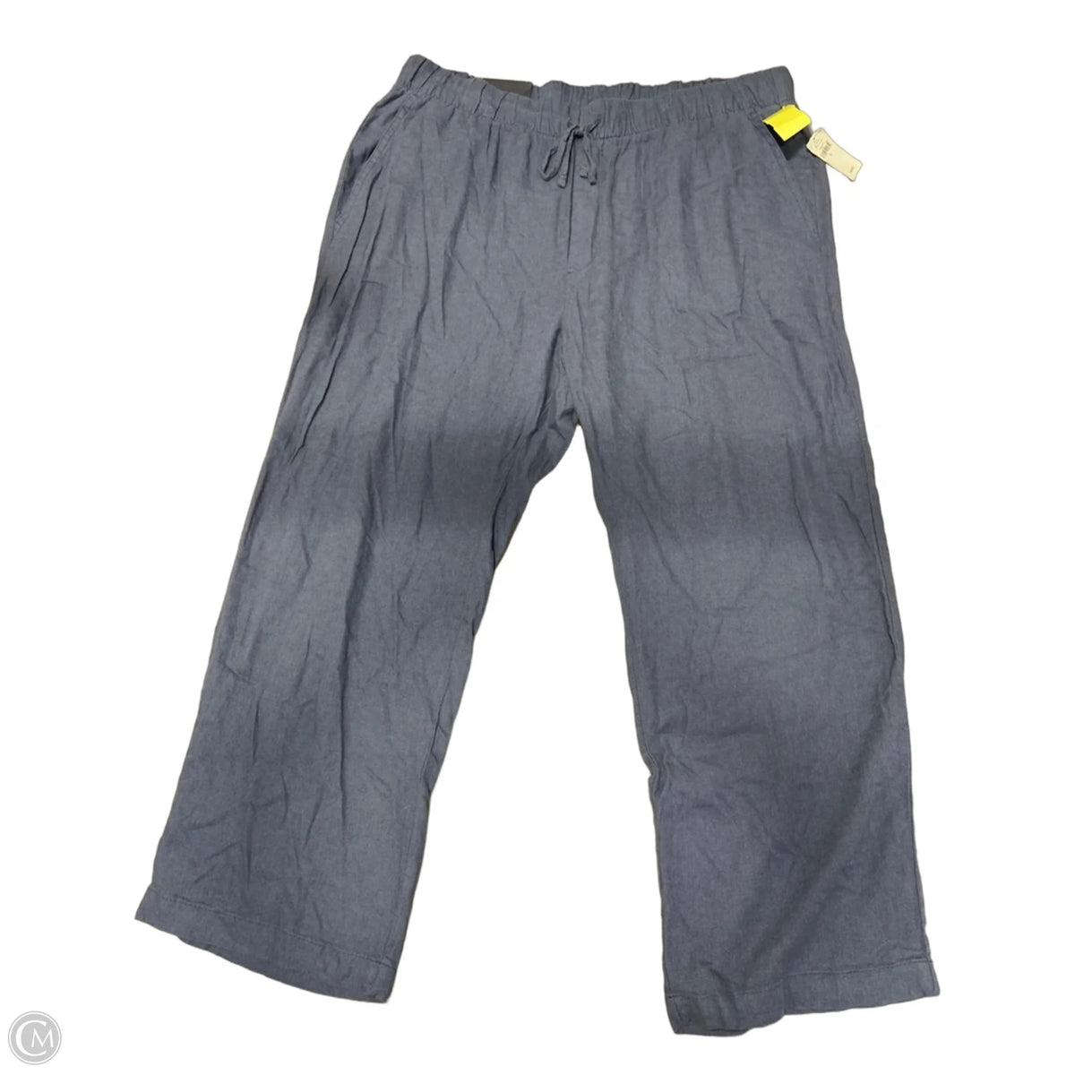Pants Linen By Gap In Blue, Size: 14
