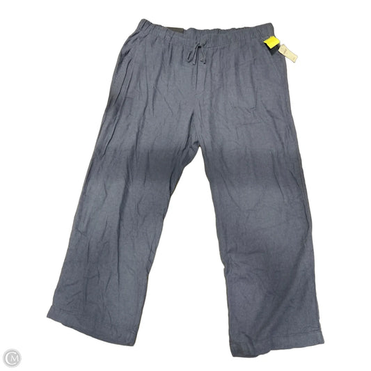 Pants Linen By Gap In Blue, Size: 14