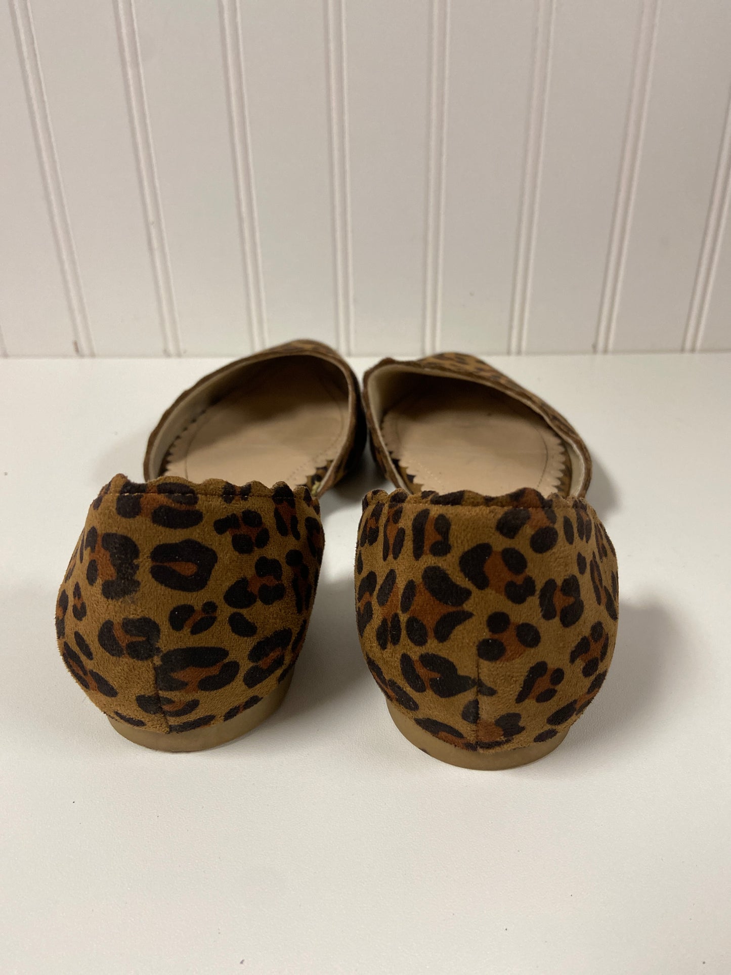 Shoes Flats By Restricted In Animal Print, Size: 6.5